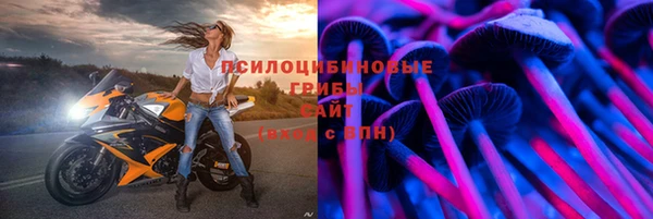 молекула духа Балахна
