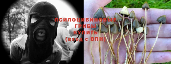 молекула духа Балахна