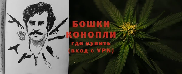 молекула духа Балахна