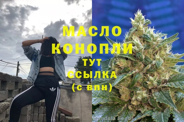 молекула духа Балахна