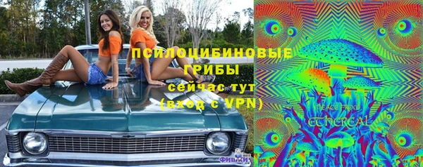 молекула духа Балахна