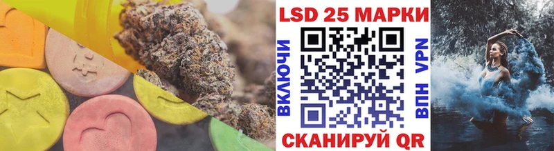 дарнет шоп  Сегежа  Лсд 25 экстази ecstasy 