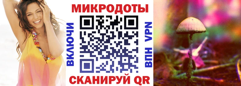 Псилоцибиновые грибы Psilocybine cubensis  Сегежа 