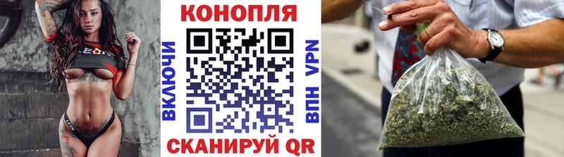 продажа наркотиков  Сегежа  Шишки марихуана индика 